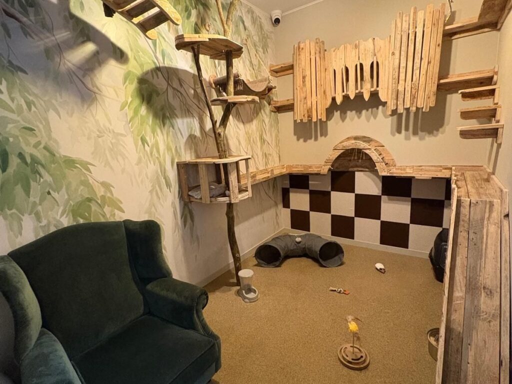 De Wilgen kamer in het kattenpension